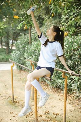 荣华令电视剧免费观看全部播放