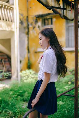 间谍过家家第三季