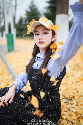 小巷人家电视剧免费观看