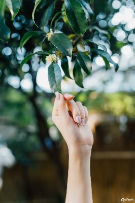 明星大侦探第三季