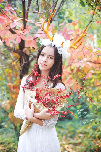 你是我的荣耀 电视剧