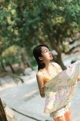 炽道电视剧全集免费观看