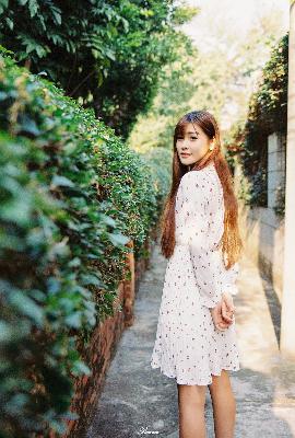 茶杯狐 CUPFOX 茶杯狐官方