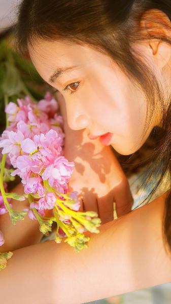 免费观看国语高清电视剧