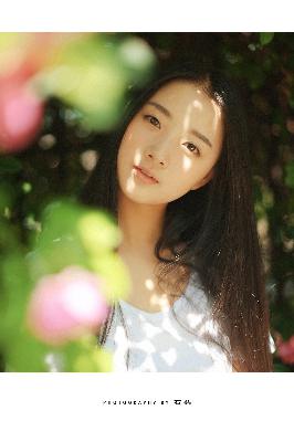 大明风华电视剧全集免费观看