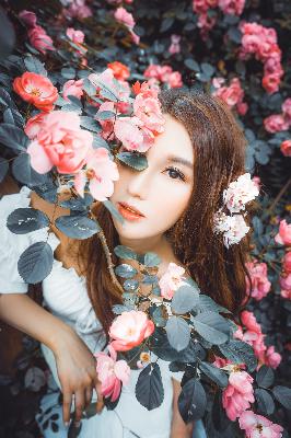 沧元图动漫全集免费观看高清